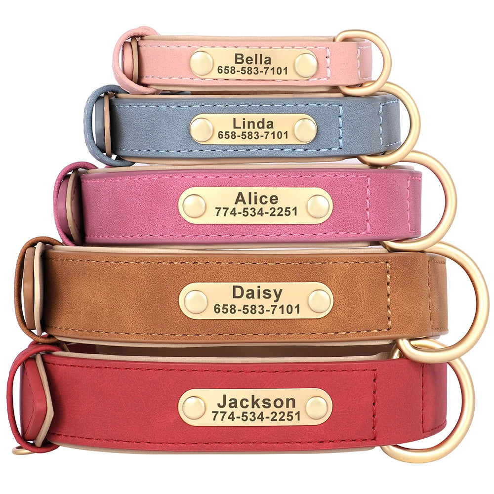 Royal Dog Halsband - Das personalisierte Halsband für den besten Freund an deiner Seite 👑🐾