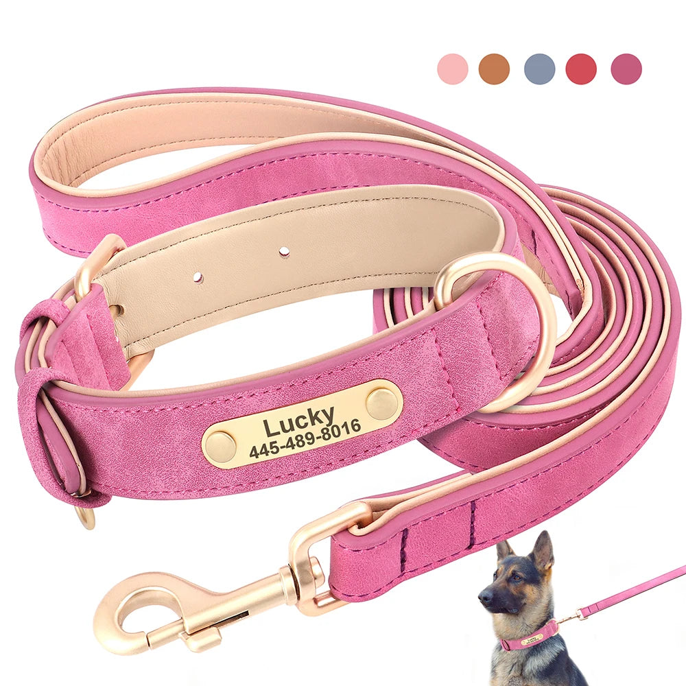 Royal Dog Halsband - Das personalisierte Halsband für den besten Freund an deiner Seite 👑🐾