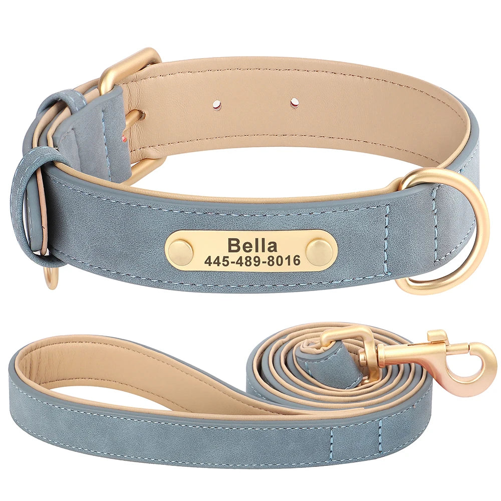 Royal Dog Halsband - Das personalisierte Halsband für den besten Freund an deiner Seite 👑🐾