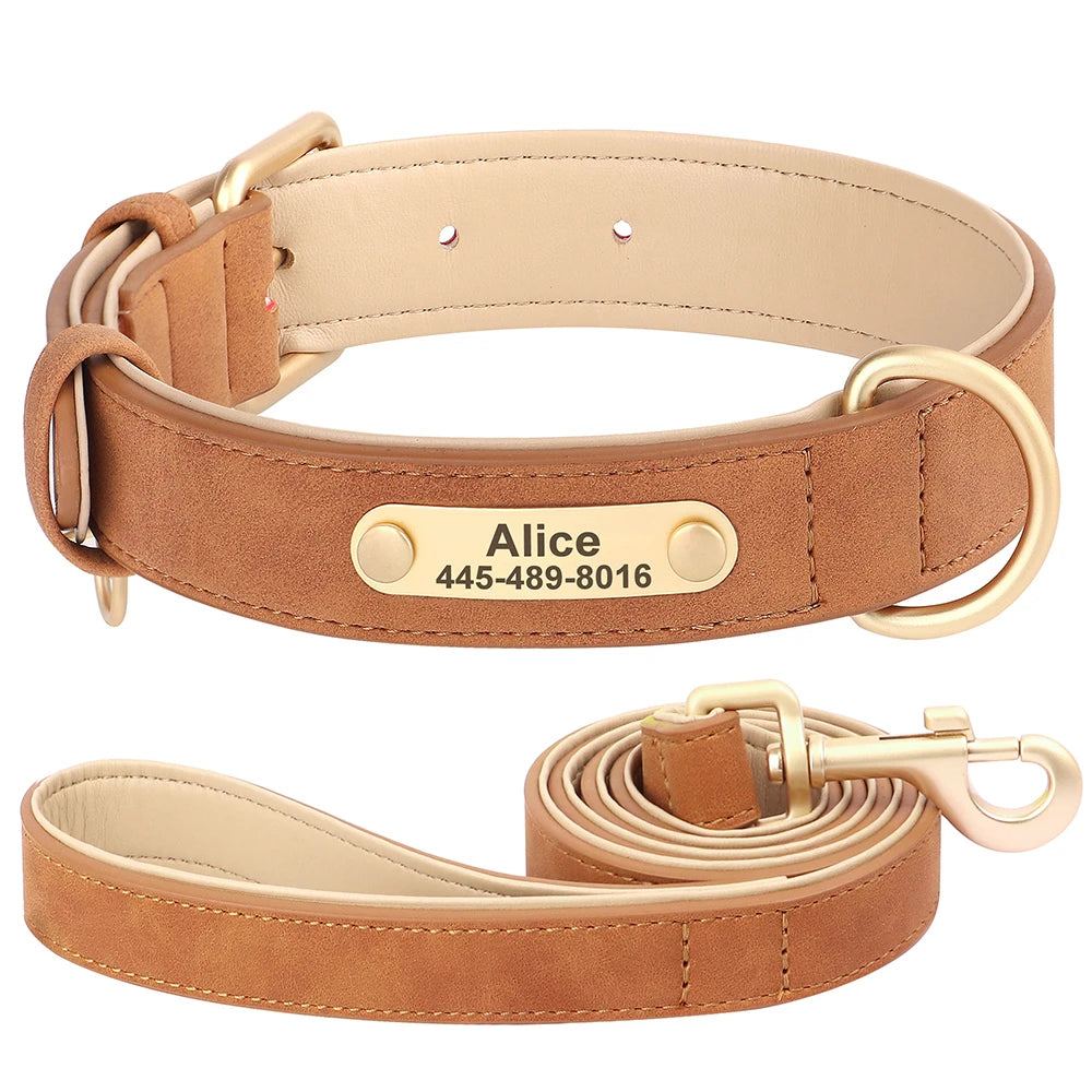 Royal Dog Halsband - Das personalisierte Halsband für den besten Freund an deiner Seite 👑🐾