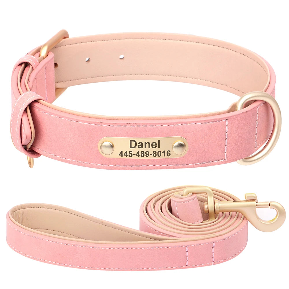 Royal Dog Halsband - Das personalisierte Halsband für den besten Freund an deiner Seite 👑🐾