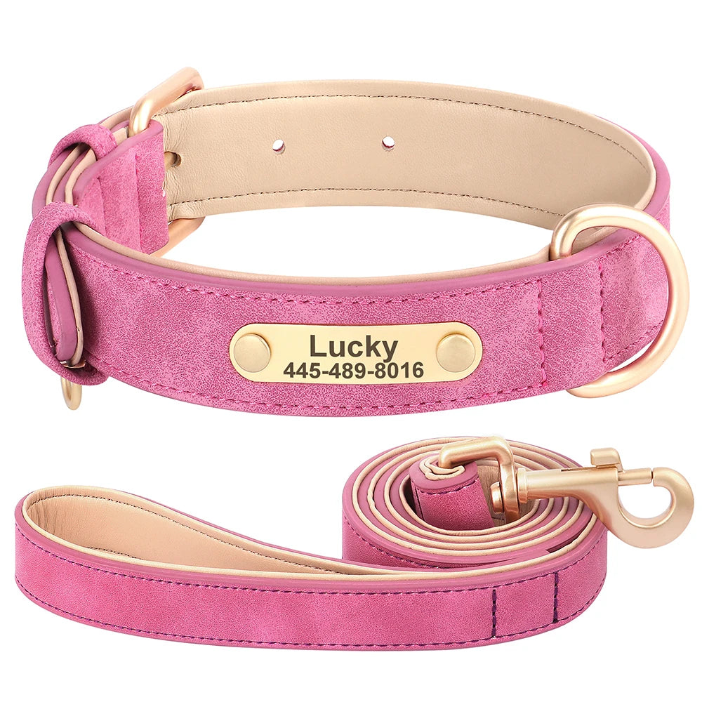 Royal Dog Halsband - Das personalisierte Halsband für den besten Freund an deiner Seite 👑🐾