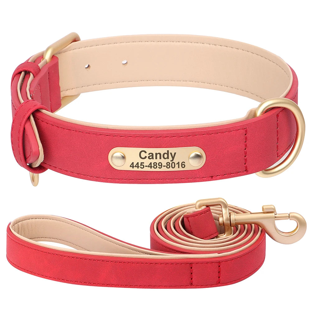 Royal Dog Halsband - Das personalisierte Halsband für den besten Freund an deiner Seite 👑🐾